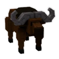 Cape Buffalo