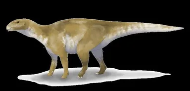 Eolambia