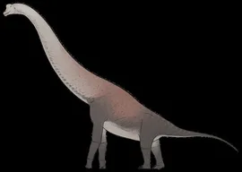 Giraffatitan