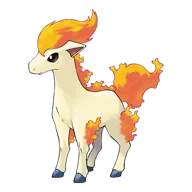 Ponyta