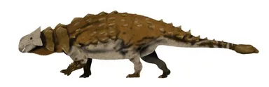 Ankylosaurus