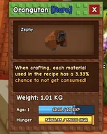 Orangutan
