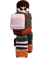 Pebble