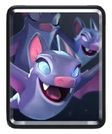 Bats