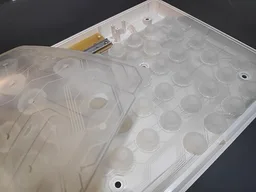 Rubber dome