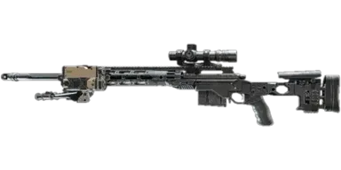 M2010 ESR