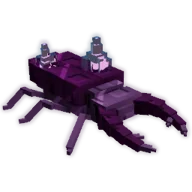 Amethyst Beetle