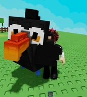 Toucan