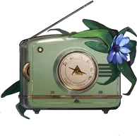 Ms. Radio