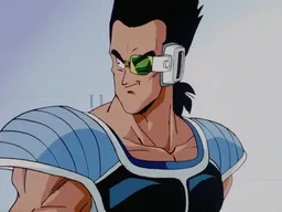 Tora