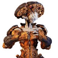 Nokko