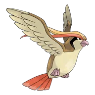 Pidgeot