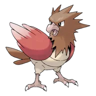 Spearow
