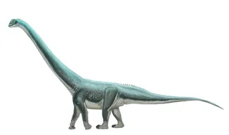 Cetiosauriscus