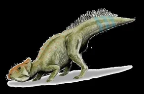 Leptoceratops
