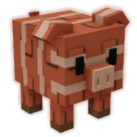Bacon Pig