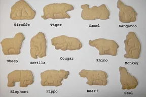 Animal cracker