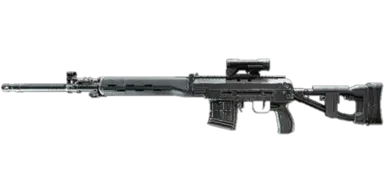 SVDM