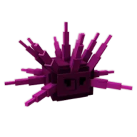 Sea Urchin