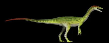 Coelophysis