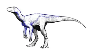 Herrerasaurus