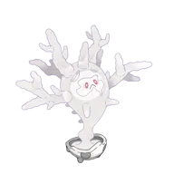Cursola