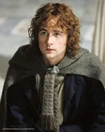 Peregrin Took