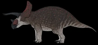 Triceratops