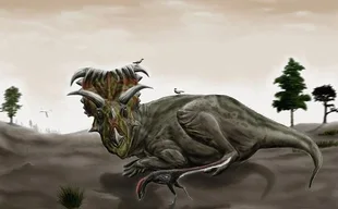 Kosmoceratops