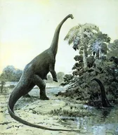 Diplodocus