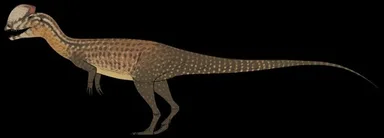 Dilophosaurus