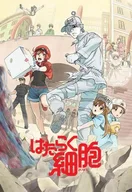 Cells at Work!.jpg