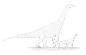 Spinophorosaurus