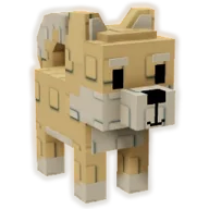 Shiba Inu