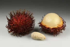 Rambutan