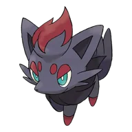 Zorua