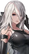 A2